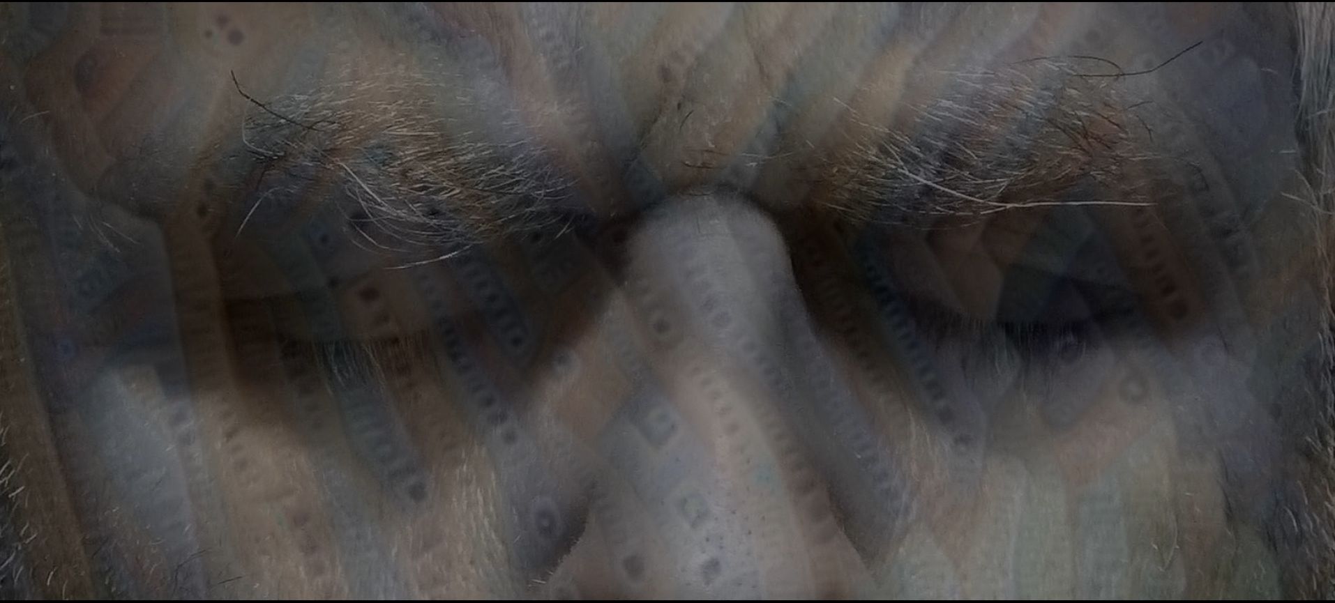 Poster or still for FILM TITLE 8